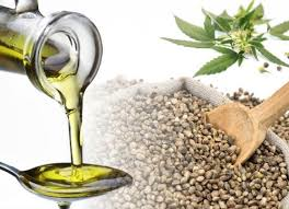 The Benefits of Hemp Seed Oil
